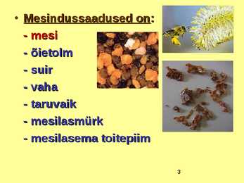 TOIDUAINETE TAIMNE TOORE - MESI #3