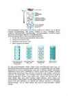 Ainete segu lahutamine geelkromatograafia meetodil #2