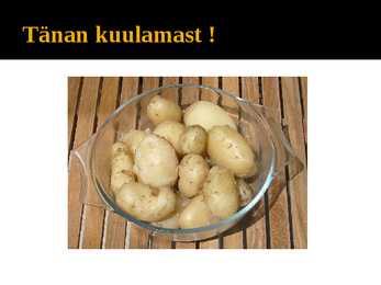 Kartul #10
