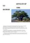 Baobab ehk ahvileivapuu #2