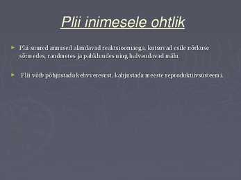 Plii #6