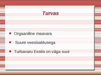 Turvas #2