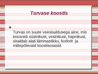 Turvas #4