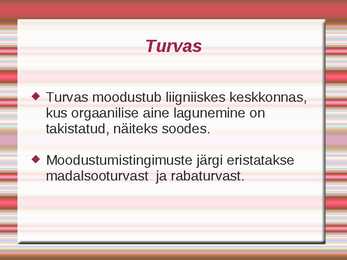 Turvas #5