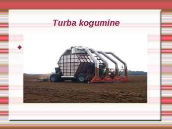 Turvas #6