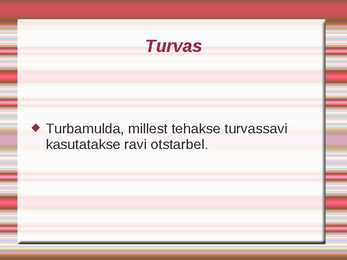 Turvas #9
