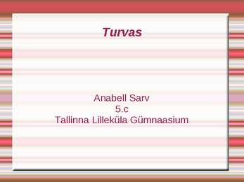 Turvas