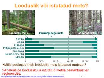 Maailma metsatööstus #11