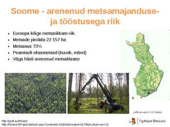 Maailma metsatööstus #20