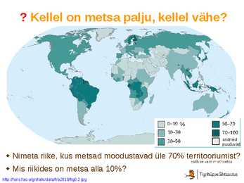 Maailma metsatööstus #8