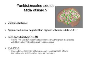Andmetöötlus funktsionaalse seotuse hindamiseks puhkeoleku fMRT-s #26
