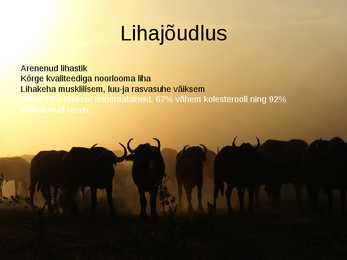 PÜHVLITE PIIMA- JA LIHAJÕUDLUS #4