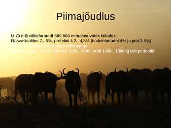 PÜHVLITE PIIMA- JA LIHAJÕUDLUS #5