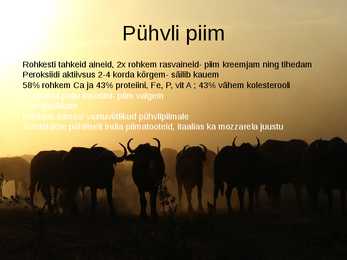 PÜHVLITE PIIMA- JA LIHAJÕUDLUS #7