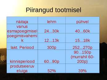 PÜHVLITE PIIMA- JA LIHAJÕUDLUS #9