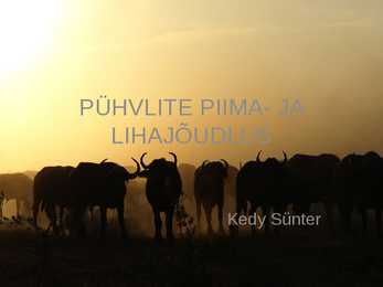 PÜHVLITE PIIMA- JA LIHAJÕUDLUS