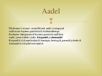 Aadel-relvastus ja linnakultuur #2