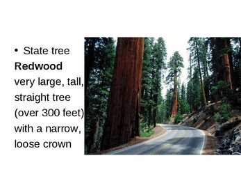 The geography of california #3