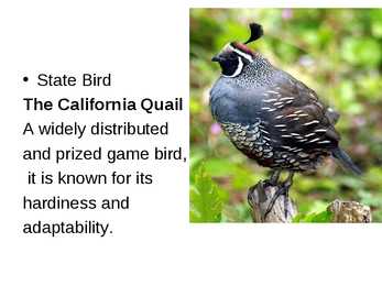 The geography of california #4