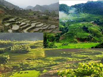 Terrasspõllud Vietnamis #4