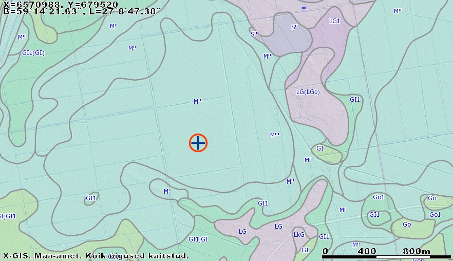 Tabel 3. Maaüksusel kasvavate puude ülevaade (register.metsad.ee)