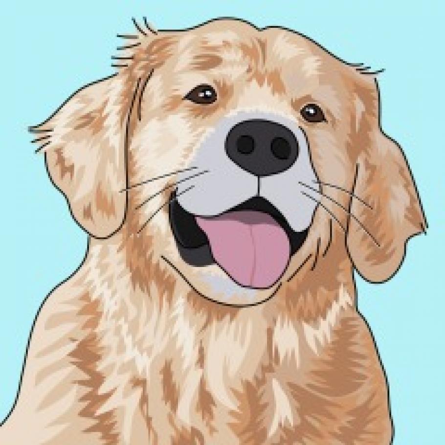 mlepla profiilipilt