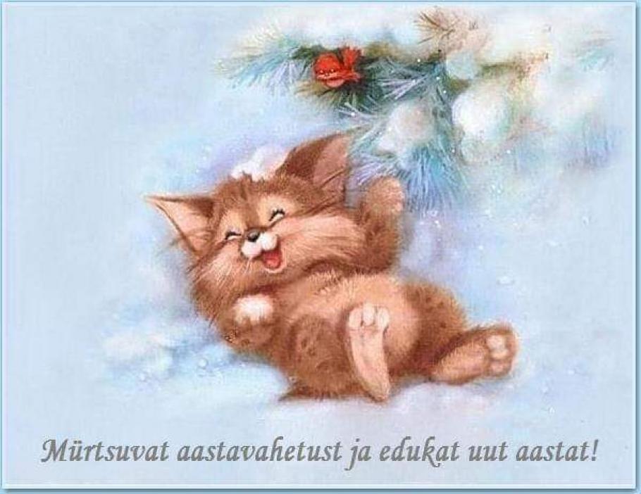 Katused