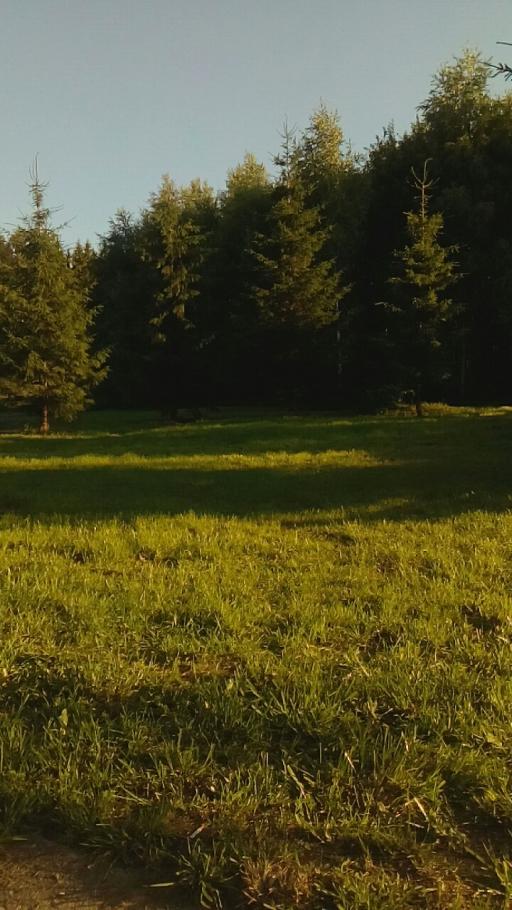 Pilt kasutajast Annika00
