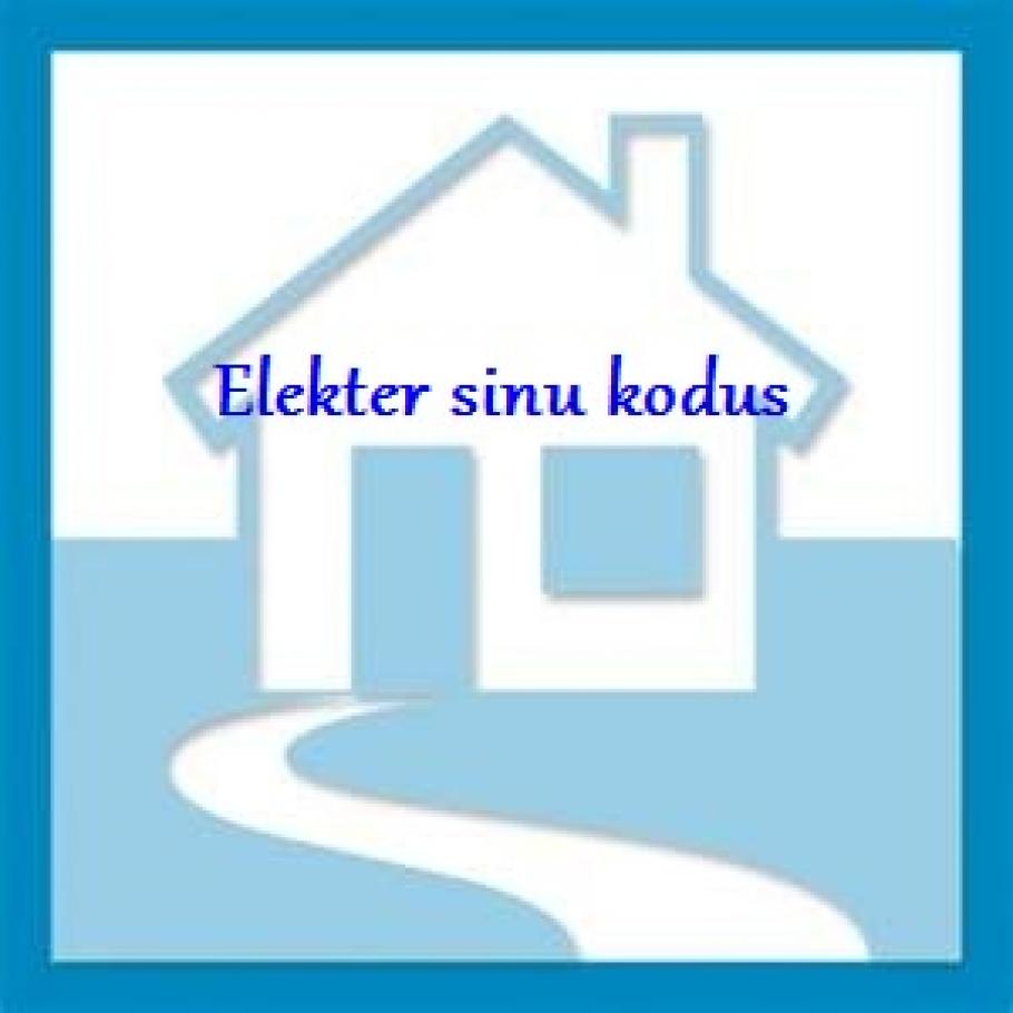 Pilt kasutajast elektersinukodus