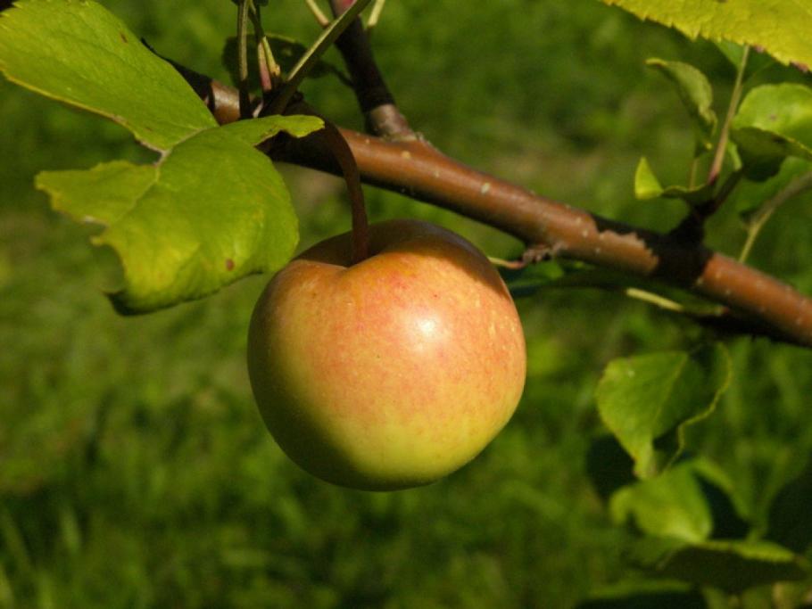 Pilt kasutajast Kris34