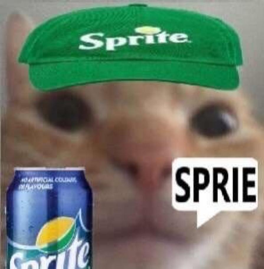 Ropsikas profiilipilt